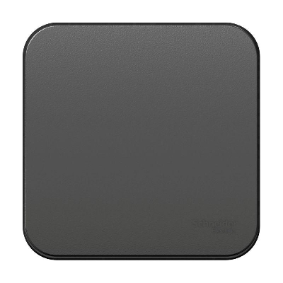 Переключатель 1-кл. ОП BLANCA (сх.6) 10А 250В изол. пласт. антрацит SchE BLNVA106016