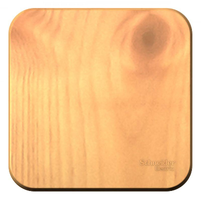 Выключатель 1-кл. ОП BLANCA (сх.1) 10А 250В изол. пласт. ясень SchE BLNVA101015