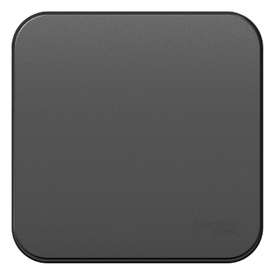 Выключатель 1-кл. ОП BLANCA (сх.1) 10А 250В изол. пласт. антрацит SchE BLNVA101016