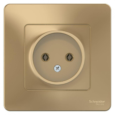 Розетка 1-м СП BLANCA 16А 250В без шторок без заземл. титан SchE BLNRS000014