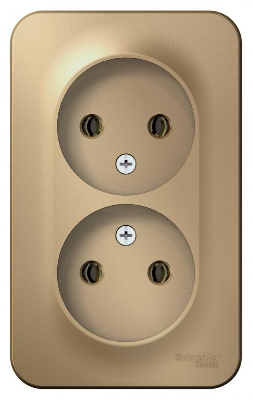 Розетка 2-м ОП BLANCA 16А 250В без шторок без заземл. изол. пласт. титан SchE BLNRA000214