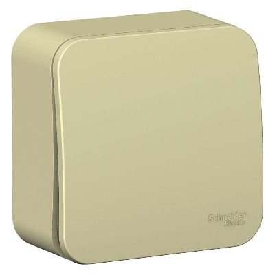 Переключатель 1-кл. ОП BLANCA (сх.6) 10А 250В изол. пласт. беж. SchE BLNVA106017