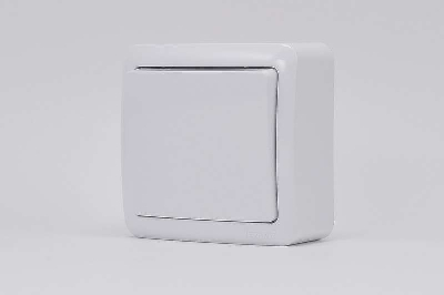 Выключатель 1-кл. ОП VIOLA 10А IP20 бел. LEZARD 751-0200-100