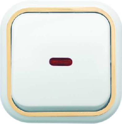 Выключатель 1-кл. ОП Валентина  10А IP20 А16-054 с индик. бел./зол. Кунцево 7633